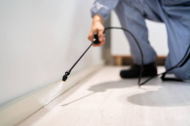 Licensed Cockroach Control service in Cheyenne, WY - Nex Pest Control
