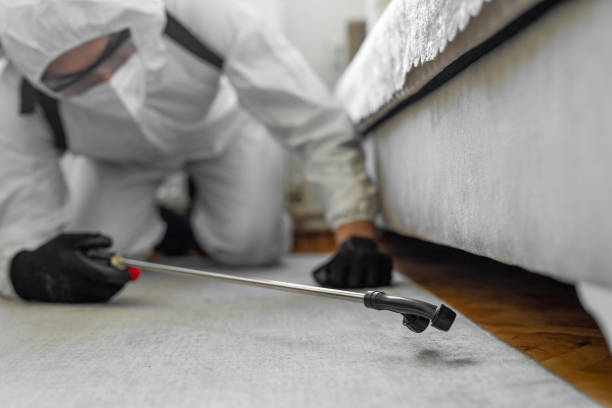 Professional Cockroach Control technician working in Cheyenne, WY