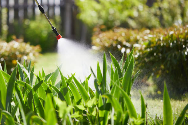 24/7 Emergency Cockroach Control experts in Cheyenne, WY